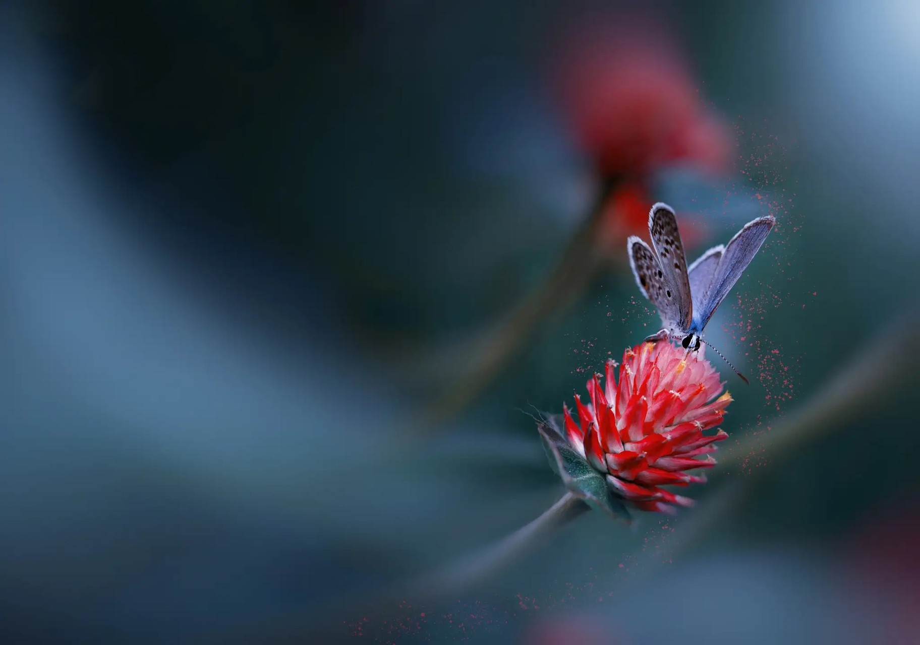 Momen kunjungan Kapolda Babel ke kantor Koperasi Serba Usaha Pokja Wartawan Belitung Timur.